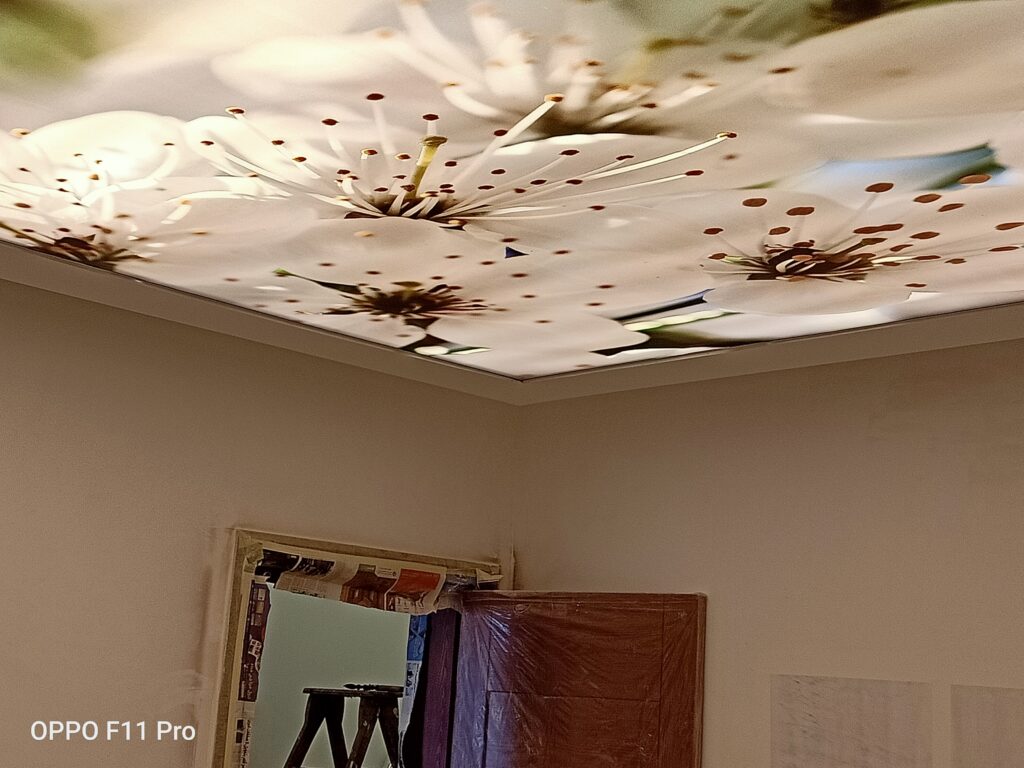 سقف موزاريلا, stretch ceiling , اسقف الياف ضوئية , فيبر اوبتيك ,اسقف استرتش ,  مودي ارت ,سترتش سيلينج, اسقف مضيئة, اسقف نافذه للضوء, اسقف مرآه, سقف لامع, سقف سترتش, سقف مضىء, سقف نجوم, سقف كواكب, سقف سحاب, سقف مطبوع, سقف شفاف , اسقف الياف ضوئية, اسقف فيبر, اسقف مودرن, ديكورات, ديكورات اسقف, سقف غرفة اطفال, سقف غرفة السينما, اسقف فيبر اوبتيك, ورق حائط, ورق حائط مودرن, ورق حائط اطفال, جيبسوم بورد, جيبسون بورد, سقف بارسول, جبس بورد, بديل رخام, بديل خشب, ليد, بروفايل ليد, مهندسة ديكور, مهندس ديكور, نجف مودرن, دلايات, اضائة, ورق حائط مضىء, سقف روز , روز رايز, mozzarella ceiling, stretch ceiling, fiber optic ceilings, fiber optic, mody art, stretch ceilings, illuminated ceilings, light-filtering ceilings, mirror ceilings, glossy ceiling, stretch ceiling, luminous ceiling, star ceiling, planet ceiling, cloud ceiling, printed ceiling, transparent ceiling, fiber optic ceilings, fiber ceilings, modern ceilings, decorations, ceiling decorations, children's room ceiling, cinema room ceiling, fiber optic ceilings, wallpaper, modern wallpaper, children's wallpaper, gypsum board, gypsum board, parasol ceiling, gypsum board, marble alternative, wood alternative, led, led profile, interior designer, interior designer, modern chandeliers, pendants, lighting, illuminated wallpaper, rose ceiling, rose royce, translucent stretch ceiling