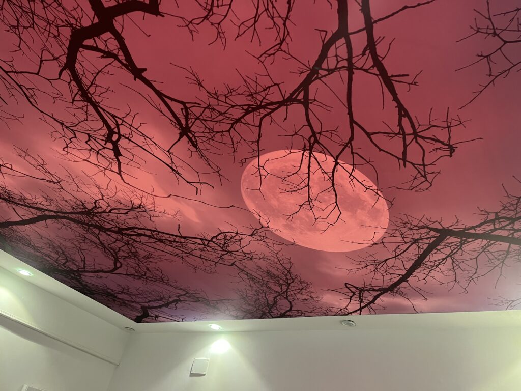 سقف موزاريلا, stretch ceiling , اسقف الياف ضوئية , فيبر اوبتيك ,اسقف استرتش ,  مودي ارت ,سترتش سيلينج, اسقف مضيئة, اسقف نافذه للضوء, اسقف مرآه, سقف لامع, سقف سترتش, سقف مضىء, سقف نجوم, سقف كواكب, سقف سحاب, سقف مطبوع, سقف شفاف , اسقف الياف ضوئية, اسقف فيبر, اسقف مودرن, ديكورات, ديكورات اسقف, سقف غرفة اطفال, سقف غرفة السينما, اسقف فيبر اوبتيك, ورق حائط, ورق حائط مودرن, ورق حائط اطفال, جيبسوم بورد, جيبسون بورد, سقف بارسول, جبس بورد, بديل رخام, بديل خشب, ليد, بروفايل ليد, مهندسة ديكور, مهندس ديكور, نجف مودرن, دلايات, اضائة, ورق حائط مضىء, سقف روز , روز رايز, mozzarella ceiling, stretch ceiling, fiber optic ceilings, fiber optic, mody art, stretch ceilings, illuminated ceilings, light-filtering ceilings, mirror ceilings, glossy ceiling, stretch ceiling, luminous ceiling, star ceiling, planet ceiling, cloud ceiling, printed ceiling, transparent ceiling, fiber optic ceilings, fiber ceilings, modern ceilings, decorations, ceiling decorations, children's room ceiling, cinema room ceiling, fiber optic ceilings, wallpaper, modern wallpaper, children's wallpaper, gypsum board, gypsum board, parasol ceiling, gypsum board, marble alternative, wood alternative, led, led profile, interior designer, interior designer, modern chandeliers, pendants, lighting, illuminated wallpaper, rose ceiling, rose royce, translucent stretch ceiling