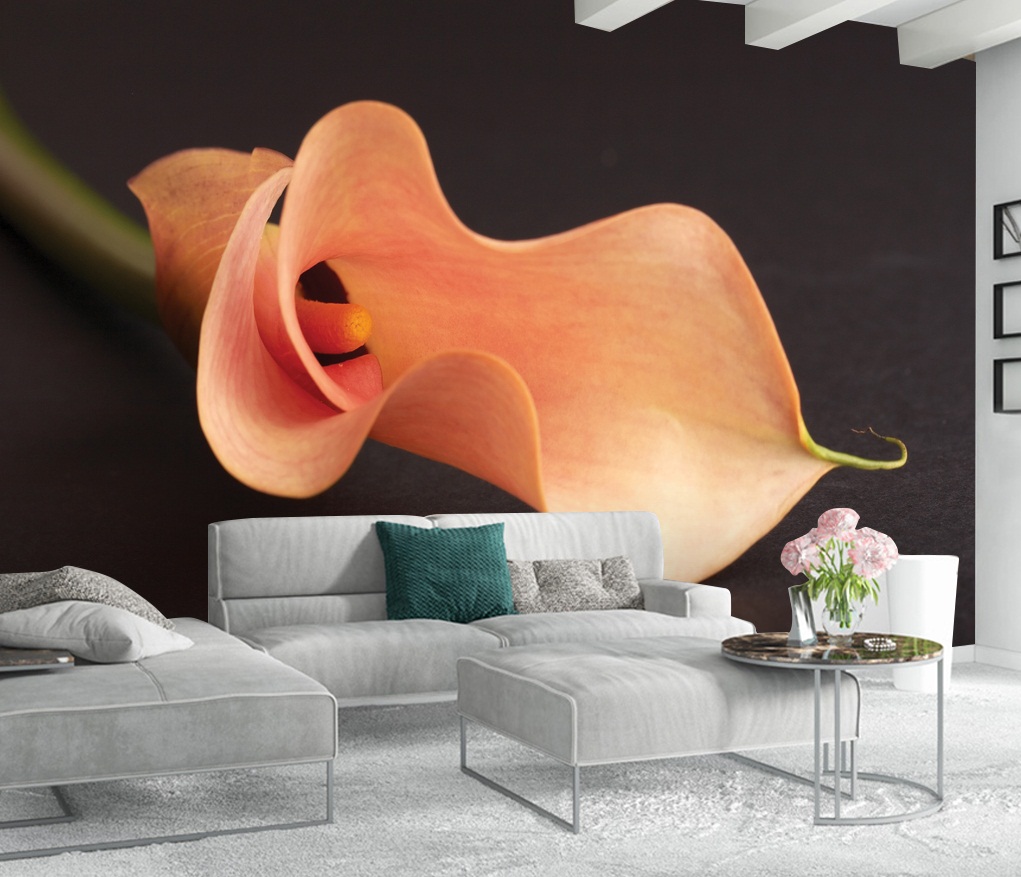 سقف موزاريلا, stretch ceiling , اسقف الياف ضوئية , فيبر اوبتيك ,اسقف استرتش ,  مودي ارت ,سترتش سيلينج, اسقف مضيئة, اسقف نافذه للضوء, اسقف مرآه, سقف لامع, سقف سترتش, سقف مضىء, سقف نجوم, سقف كواكب, سقف سحاب, سقف مطبوع, سقف شفاف , اسقف الياف ضوئية, اسقف فيبر, اسقف مودرن, ديكورات, ديكورات اسقف, سقف غرفة اطفال, سقف غرفة السينما, اسقف فيبر اوبتيك, ورق حائط, ورق حائط مودرن, ورق حائط اطفال, جيبسوم بورد, جيبسون بورد, سقف بارسول, جبس بورد, بديل رخام, بديل خشب, ليد, بروفايل ليد, مهندسة ديكور, مهندس ديكور, نجف مودرن, دلايات, اضائة, ورق حائط مضىء, سقف روز , روز رايز, mozzarella ceiling, stretch ceiling, fiber optic ceilings, fiber optic, mody art, stretch ceilings, illuminated ceilings, light-filtering ceilings, mirror ceilings, glossy ceiling, stretch ceiling, luminous ceiling, star ceiling, planet ceiling, cloud ceiling, printed ceiling, transparent ceiling, fiber optic ceilings, fiber ceilings, modern ceilings, decorations, ceiling decorations, children's room ceiling, cinema room ceiling, fiber optic ceilings, wallpaper, modern wallpaper, children's wallpaper, gypsum board, gypsum board, parasol ceiling, gypsum board, marble alternative, wood alternative, led, led profile, interior designer, interior designer, modern chandeliers, pendants, lighting, illuminated wallpaper, rose ceiling, rose royce, translucent stretch ceiling